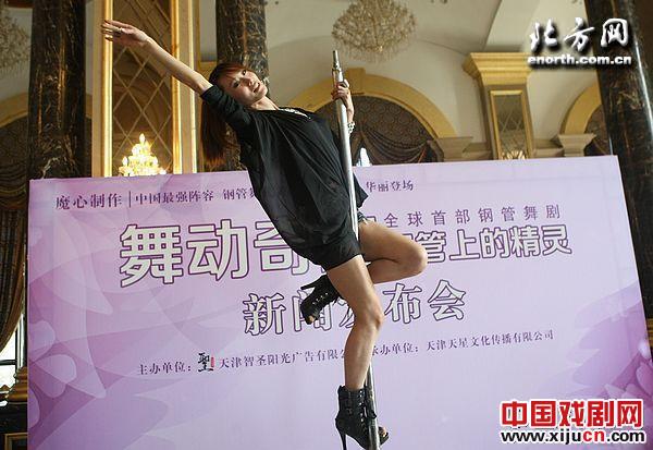 世界第一部钢管舞剧《钢管上的精灵》启动发布会