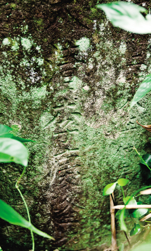 琼剧&ldquo;戏班祖&rdquo;：李庆隆