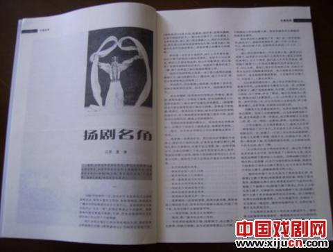 戏剧人生&mdash;&mdash;读夏涛中篇小说《扬剧名角》