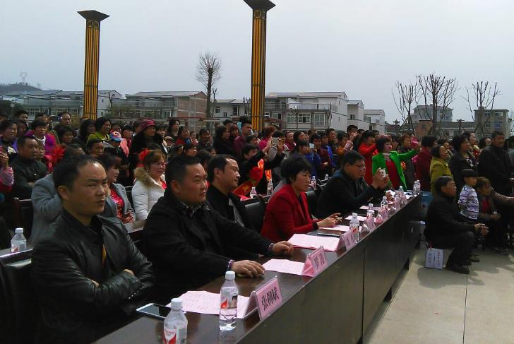 汉阴平梁镇表彰弘扬良好家风 践行核心价值观先进庆三八