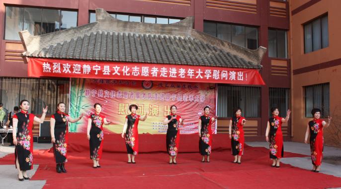 用文化点亮一座城市的高度——静宁县文化志愿者服务队在行动