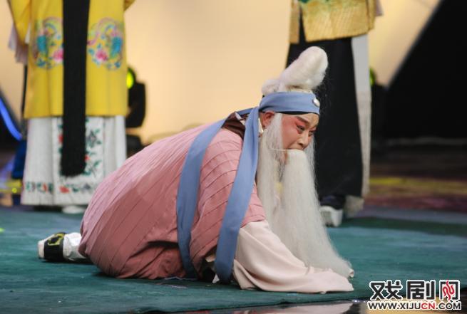 河南梨苑明星艺术团