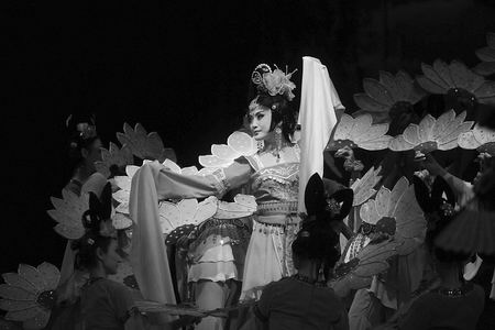 第二届中国戏剧奖&middot;梅花表演奖大赛昨晚在平顶山正式开幕