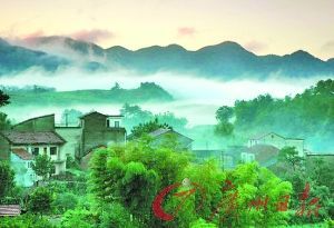 诗道江南忆芳华(组图)