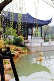 戏说江南 浙江嵊州找寻越剧之魂(图)