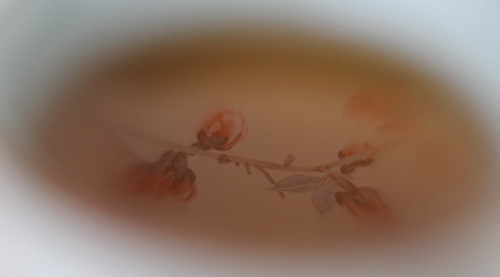 【红船旧话】梅花为骨雪为心 《客途秋恨》的文人情怀