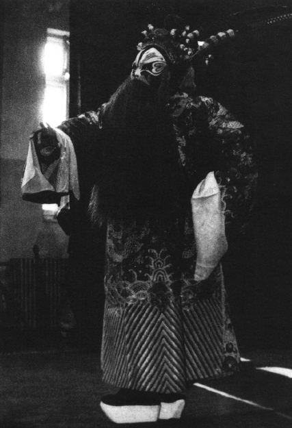 《断密涧》方荣翔饰李密