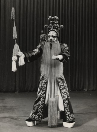 《盗御马》田文善饰窦尔墩